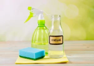 Vinegar spray