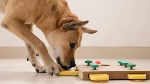 Dog Puzzles for German Shepherds