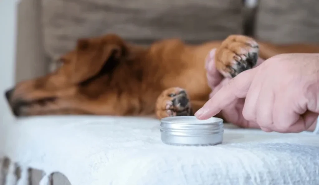 Best Dog Paw Balm for Dry Cracked Paws
