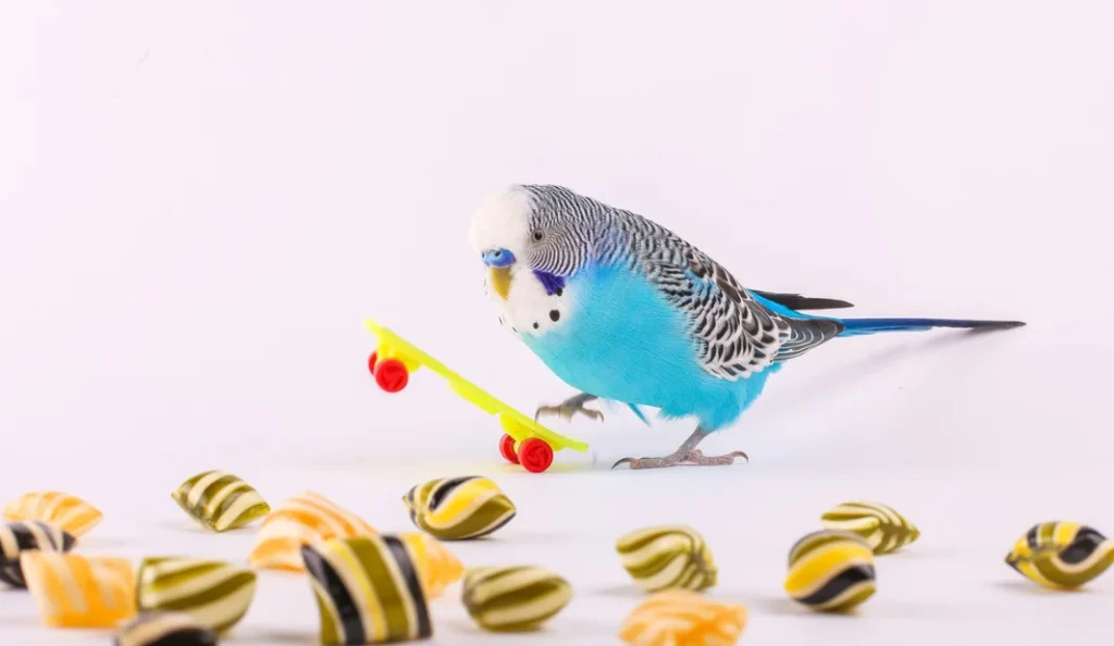 Natural Pet Bird Stress Relief Tips for Healthy Birds