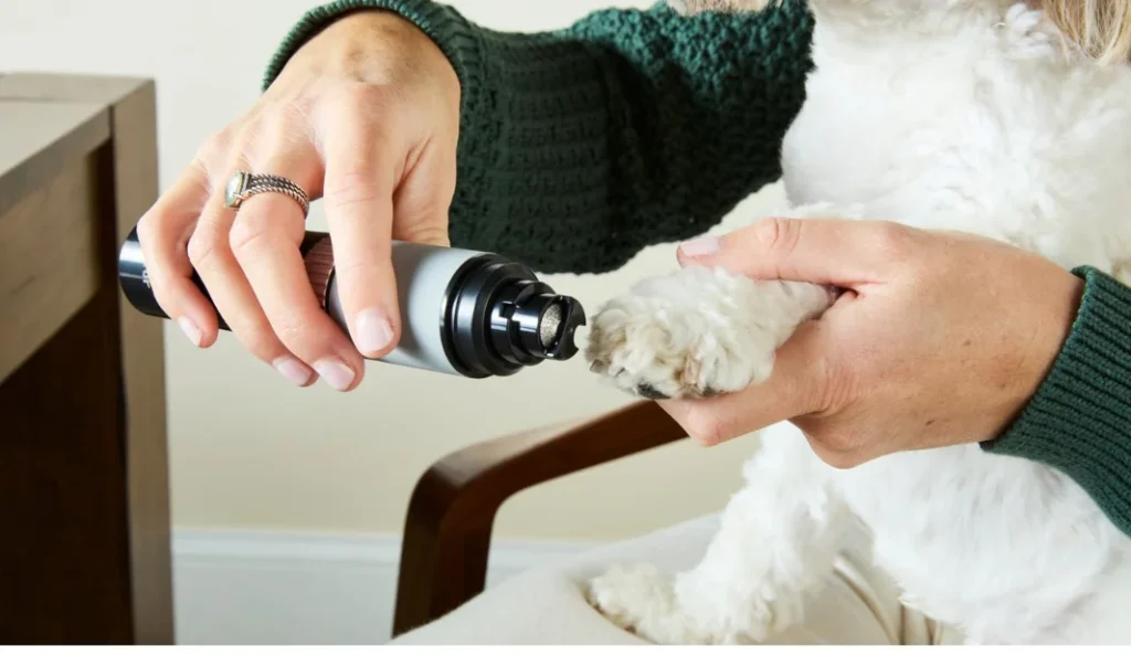 7 Best Nail Grinders for Dogs for Safe & Smooth Trimming