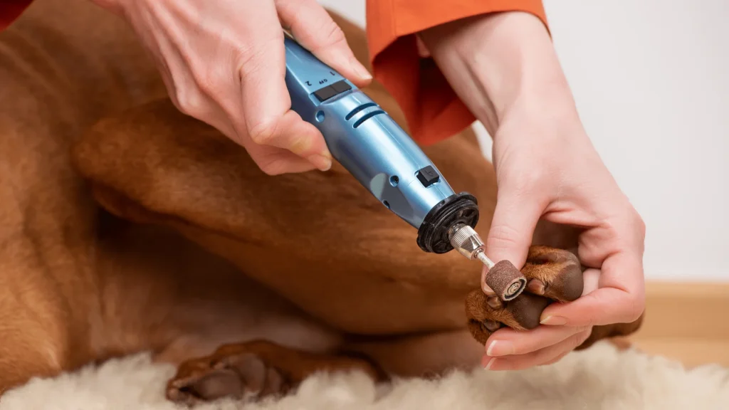 What Are Nail Grinders for Dogs