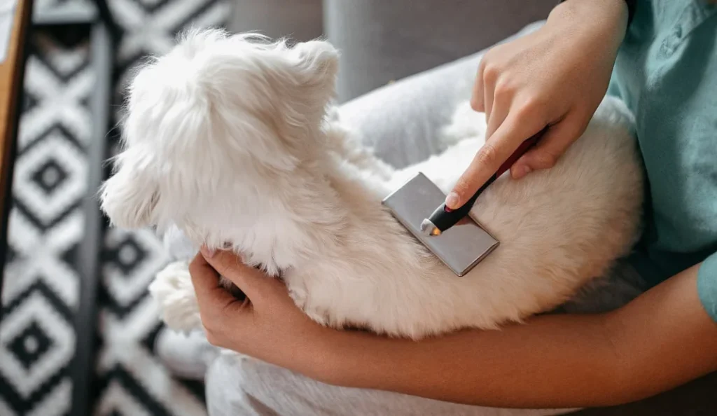 Best Grooming Kit for Dogs for Easy Home Care