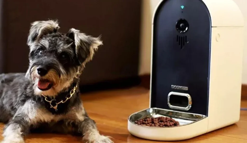 Best Automatic Dog Feeder for Busy Owners