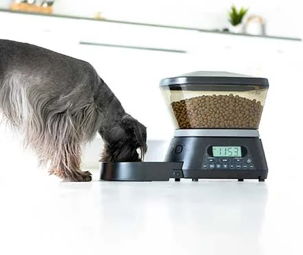 Automatic Dog Feeder