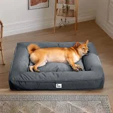 Why Dog Beds for Large Dogs Need Special Support