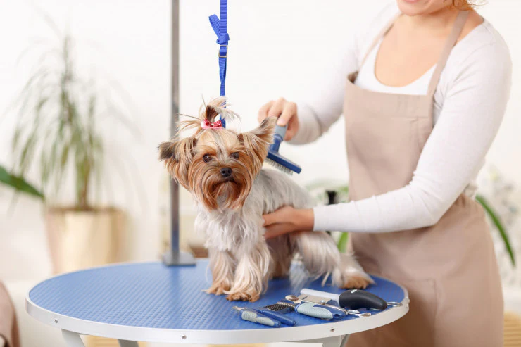 Why a Grooming Kit for Dogs is Essential