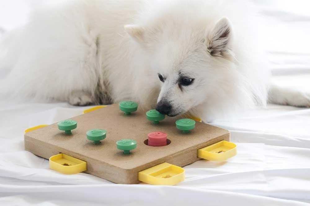 Dog Puzzle Toys