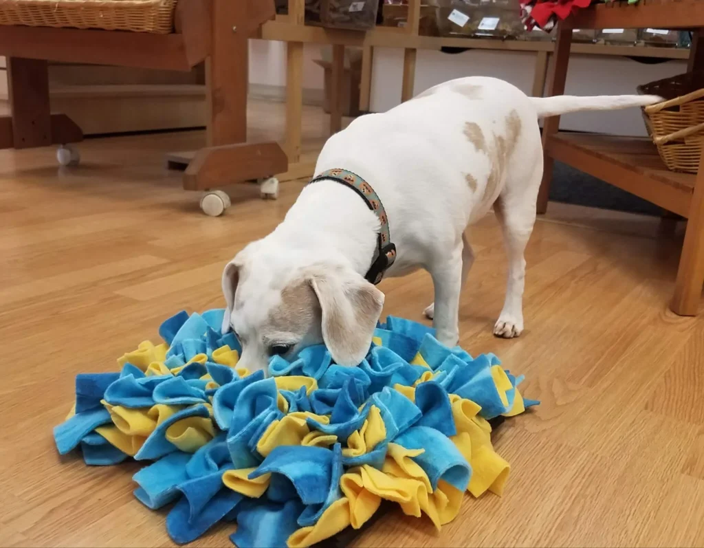 Dog Snuffle Mat