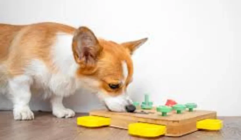 7 Best Interactive Dog Toys to Reduce Boredom