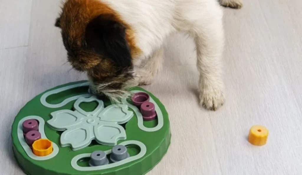 7 Best Dog Puzzle Toys for Mental Stimulation
