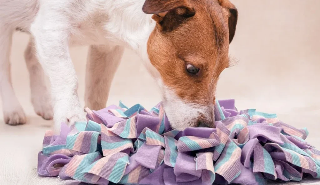 7 Best Dog Snuffle Mat for Mental Stimulation & Slow Feeding