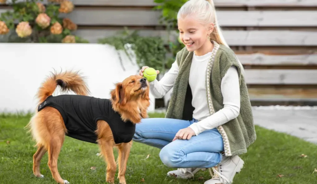 7 Best Dog Recovery Suit for Fast & Comfortable Healing