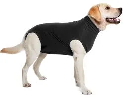 Dog Recovery Suit