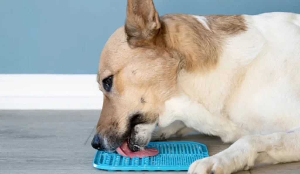 Best Dog Lick Mats for Slow Feeding, Anxiety Relief & Enrichment