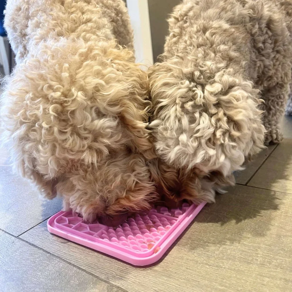 Dog Lick Mats